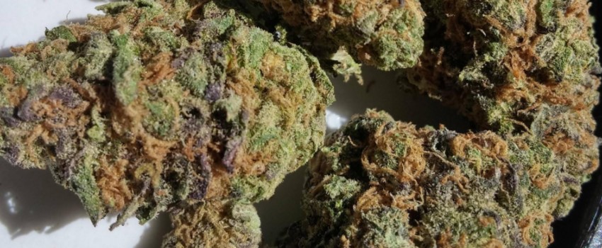 Hawaiian Purple Kush Adverse Reaction