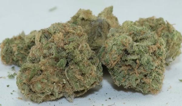 Haze Berry Strain Effects