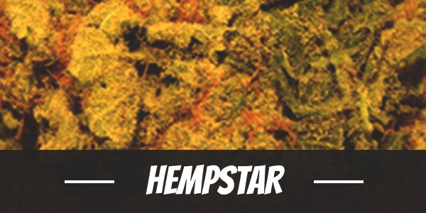 Hempstar