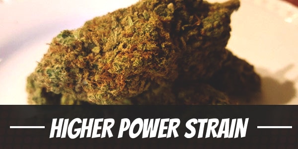 Higher Power Strain