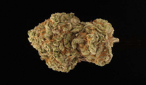 Hurricane Strain Medical