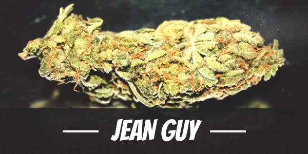 Jean Guy