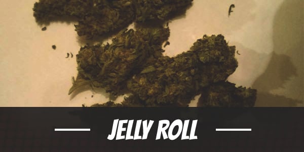 Jelly Roll