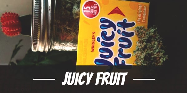 Juicy Fruit