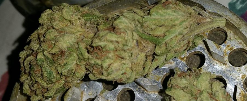 Juicy_Fruit_Medical