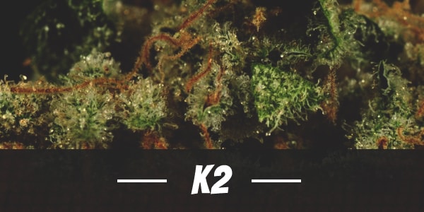 K2