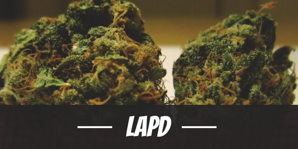 LAPD