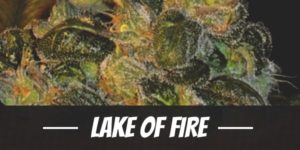 Lake Of Fire