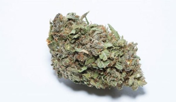 Larry Bird Kush Strain Effects