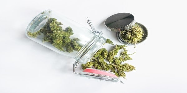 Marijuana buds in smell-proof container