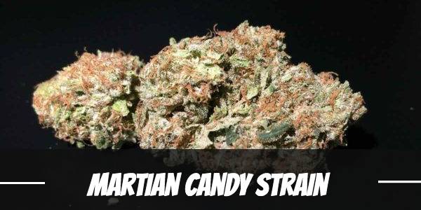 Martian Candy Strain