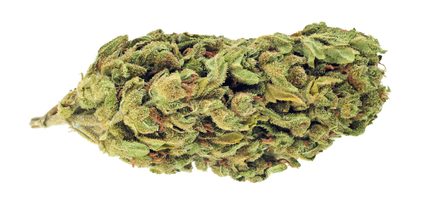 maui wowie cannabis strain effects