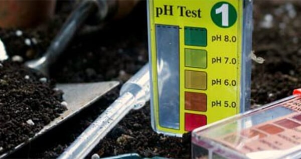 How to measure the PPM and pH of soil