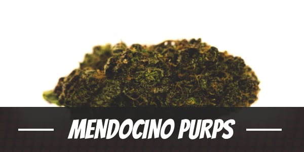 Mendocino Purps