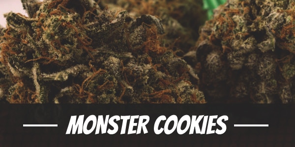 Monster Cookies