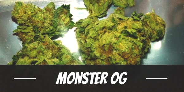 Monster OG