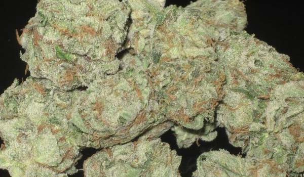 Moonwalker Kush Strain Effects