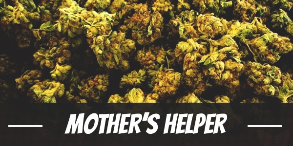 Mother’s Helper