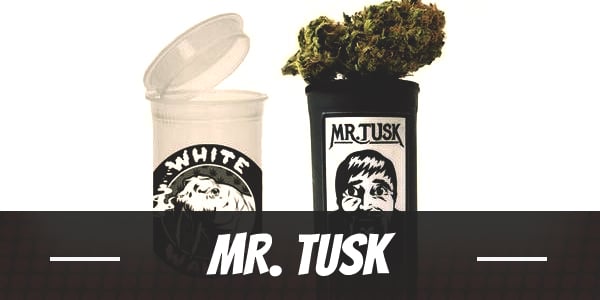 Mr. Tusk weed strain review