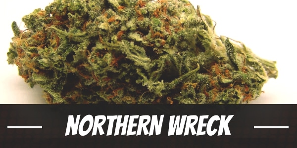 Northern Wreck