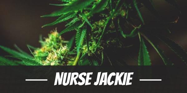 Nurse Jackie