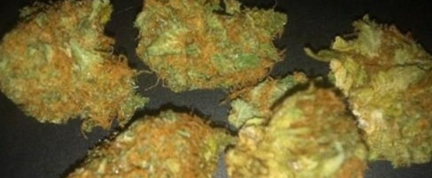 Orange Skunk Effects