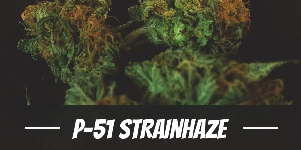 P-51 Strain