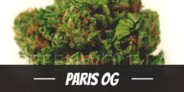 Paris OG