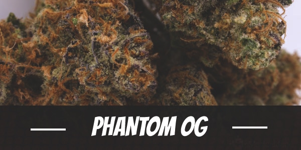 Phantom OG