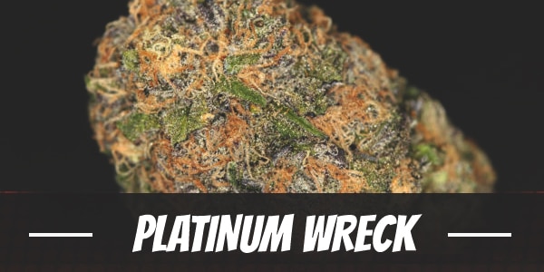 Platinum Wreck