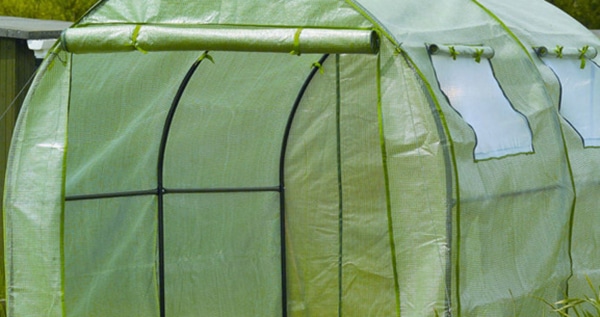 Polytunnel to grow weed