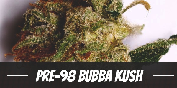 Pre-98 Bubba Kush