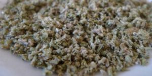 Preparing cannabis for ingestion
