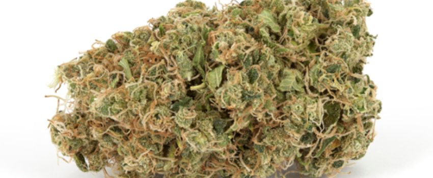 Purple Sage Medical 