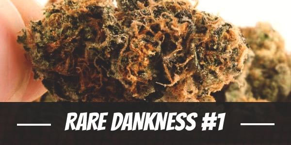 Rare Dankness #1