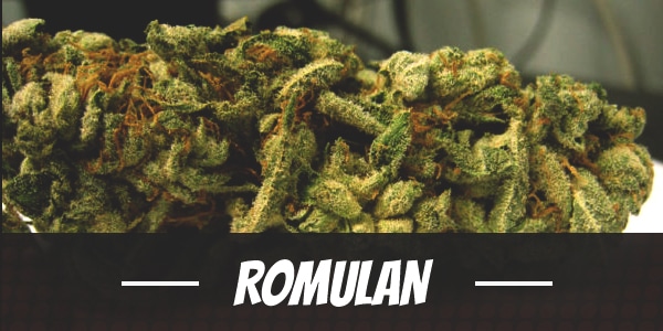 Romulan