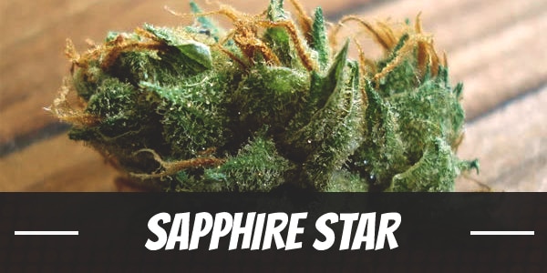 Sapphire Star