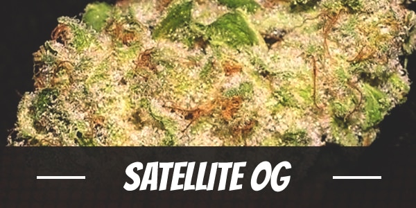 Satellite OG