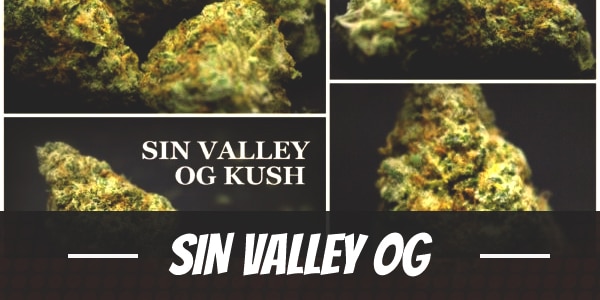 Sin Valley OG