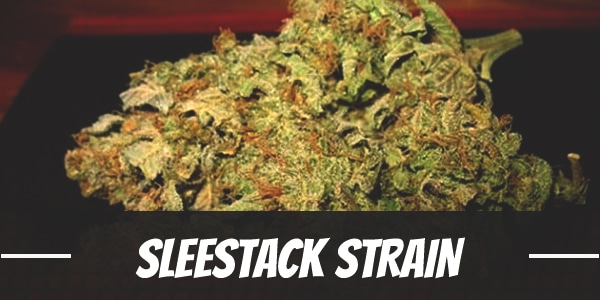 SleeStack Strain