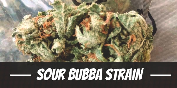 Sour Bubba Strain