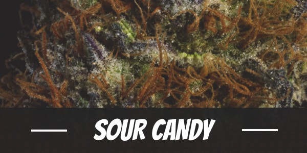 Sour Candy