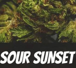 Sour Sunset Strain