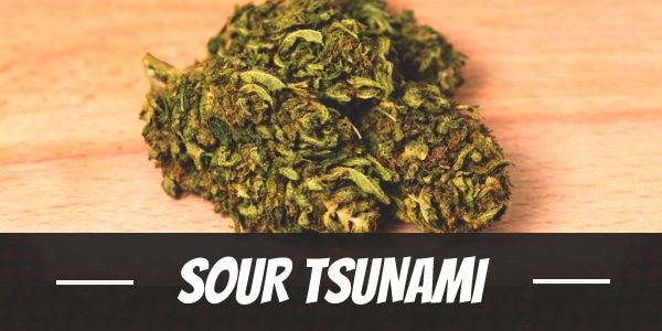 Sour Tsunami