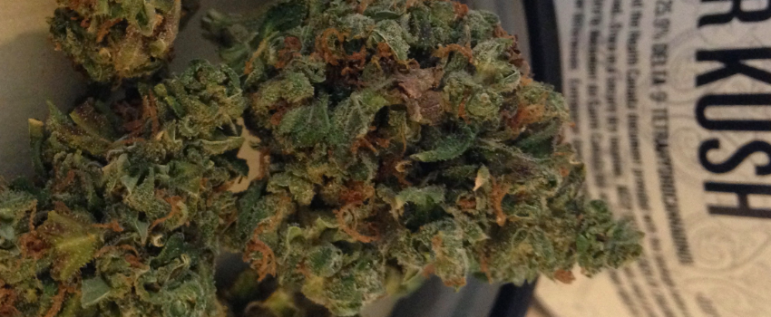 Sour Kush Medical