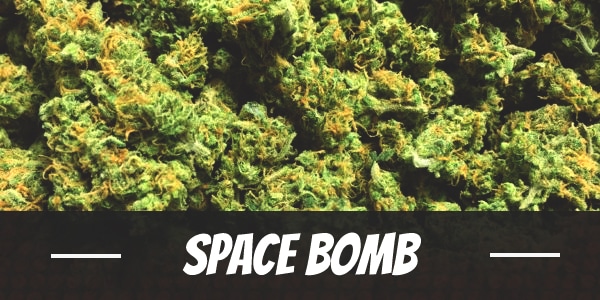 Space Bomb