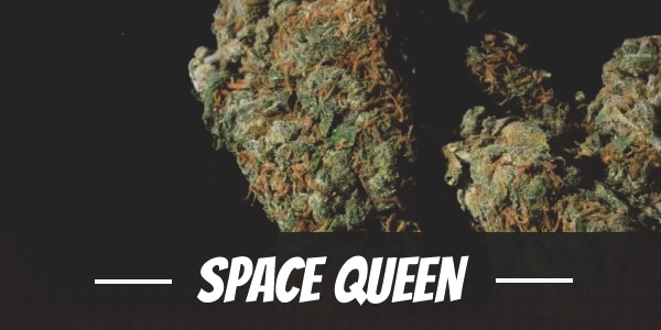 Space Queen