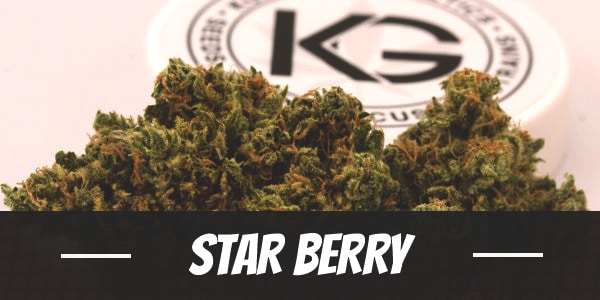 Star Berry