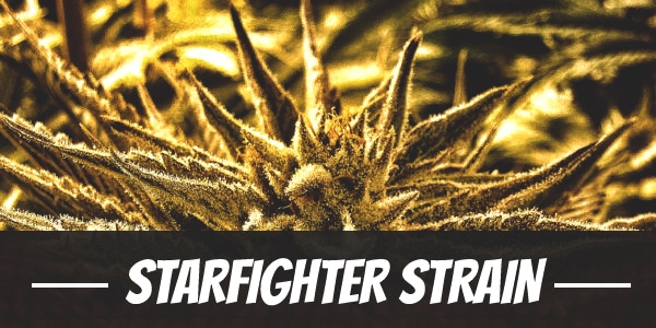 Starfighter Strain