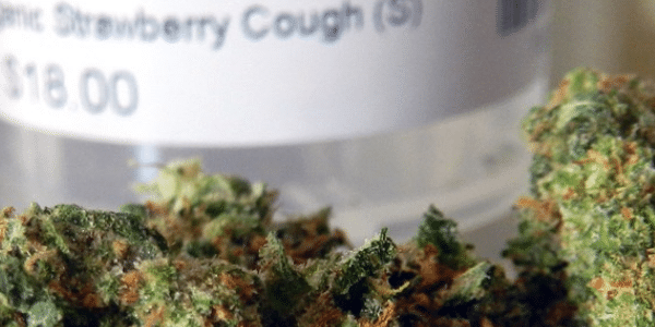 strawberry cough marijuana strain medical information